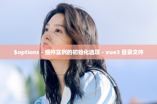 $options - 组件实例的初始化选项 - vue3 目录文件