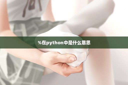 %在python中是什么意思