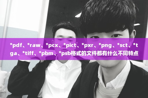 *pdf、*raw、*pcx、*pict、*pxr、*png、*sct、*tga、*tiff、*pbm、*psb格式的文件都有什么不同特点和用途