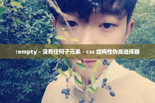 :empty - 没有任何子元素 - css 结构性伪类选择器