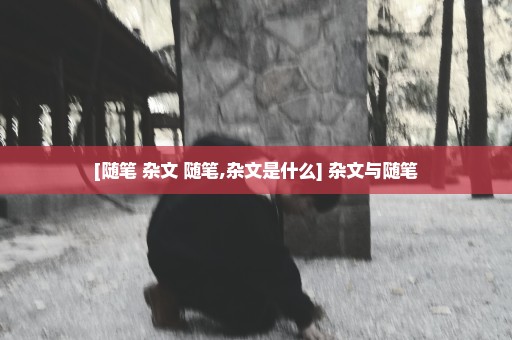 [随笔 杂文 随笔,杂文是什么] 杂文与随笔