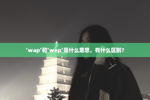 ‘wap’和‘wep’是什么意思，有什么区别？