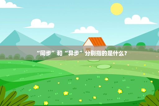 “同步”和“异步”分别指的是什么？