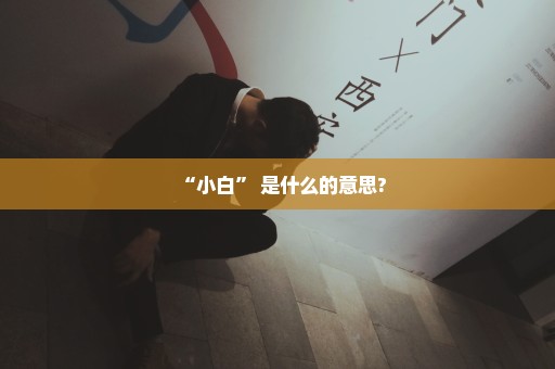 “小白” 是什么的意思?