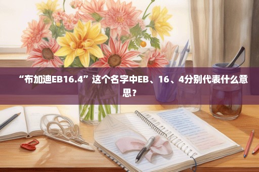 “布加迪EB16.4”这个名字中EB、16、4分别代表什么意思？