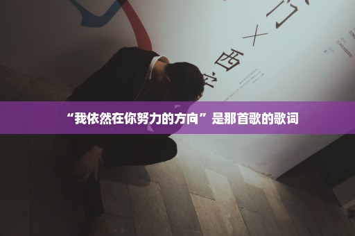 “我依然在你努力的方向”是那首歌的歌词