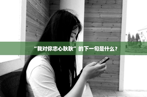 “我对你忠心耿耿”的下一句是什么？