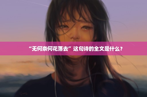 “无何奈何花落去”这句诗的全文是什么？