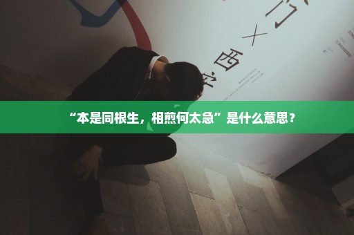 “本是同根生，相煎何太急”是什么意思？