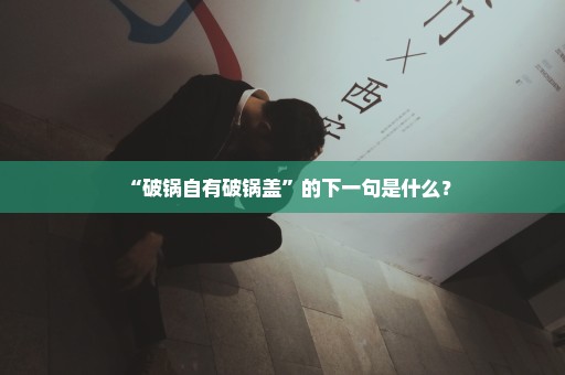 “破锅自有破锅盖”的下一句是什么？