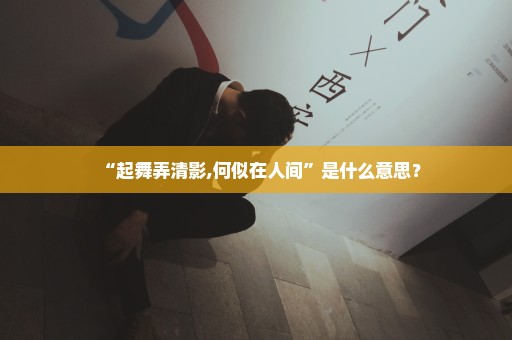 “起舞弄清影,何似在人间”是什么意思？