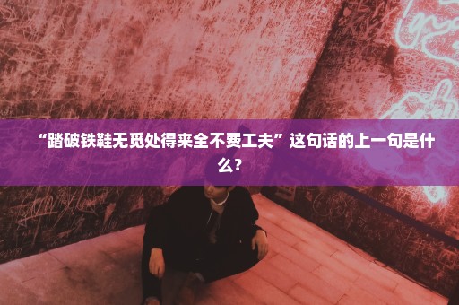 “踏破铁鞋无觅处得来全不费工夫”这句话的上一句是什么？