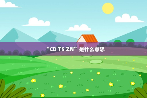 “CD TS ZN”是什么意思