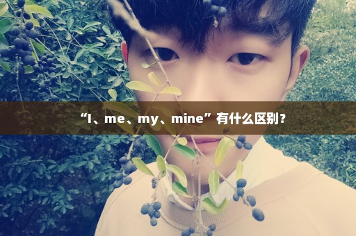 “I、me、my、mine”有什么区别？