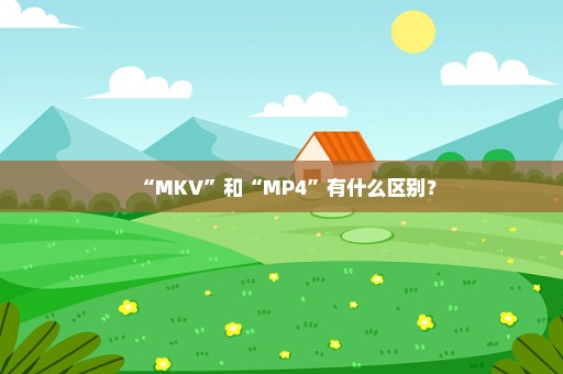 “MKV”和“MP4”有什么区别？