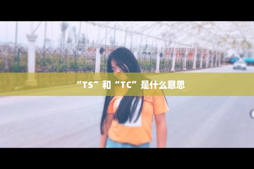 “TS”和“TC”是什么意思