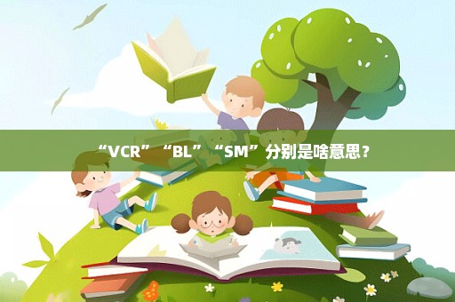 “VCR”“BL”“SM”分别是啥意思？