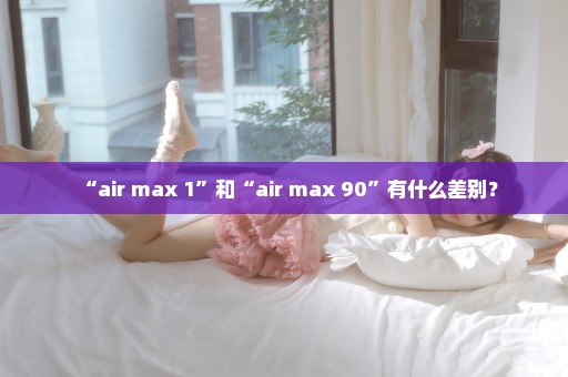 “air max 1”和“air max 90”有什么差别？