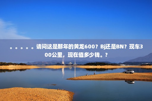 。。。。。请问这是那年的黄龙600？Bj还是BN？现车300公里，现在值多少钱。?