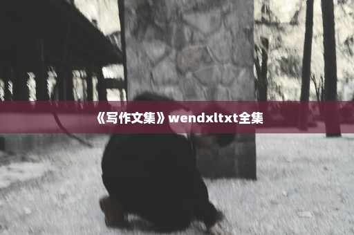 《写作文集》wendxltxt全集