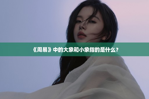 《周易》中的大象和小象指的是什么？