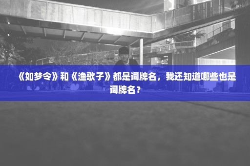 《如梦令》和《渔歌子》都是词牌名，我还知道哪些也是词牌名？