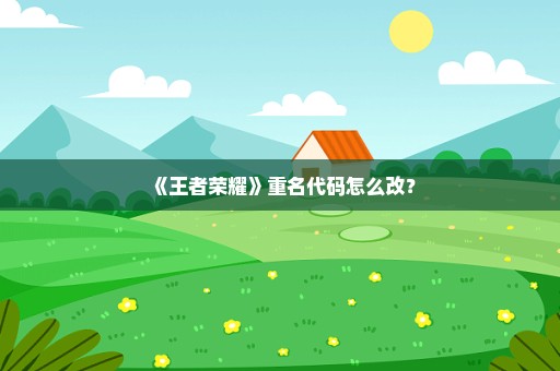 《王者荣耀》重名代码怎么改？