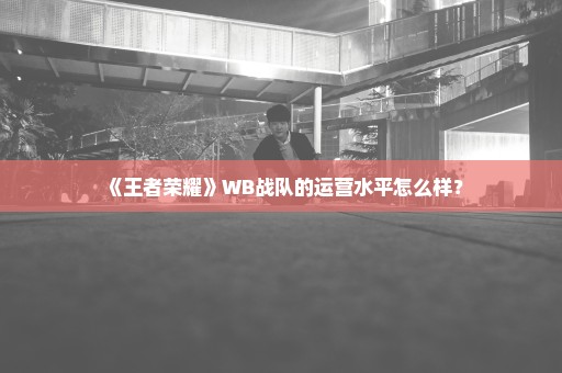 《王者荣耀》WB战队的运营水平怎么样？