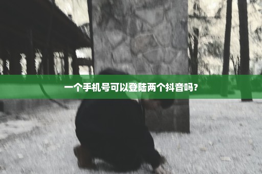 一个手机号可以登陆两个抖音吗？