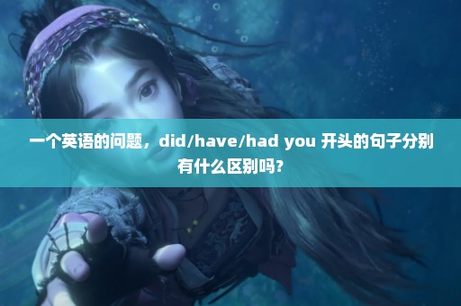 一个英语的问题，did/have/had you 开头的句子分别有什么区别吗？