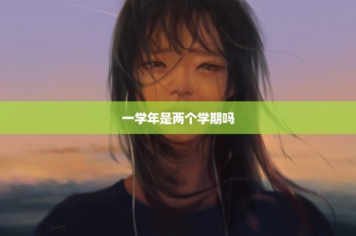 一学年是两个学期吗