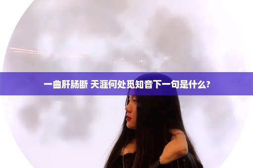 一曲肝肠断 天涯何处觅知音下一句是什么?