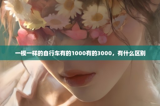 一模一样的自行车有的1000有的3000，有什么区别