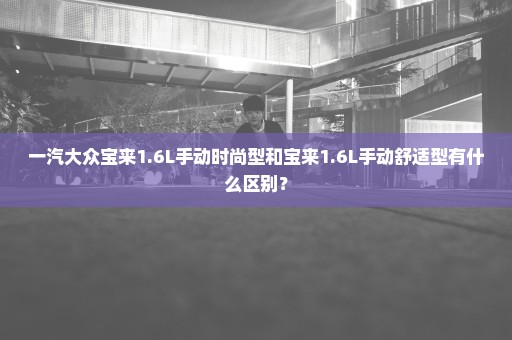 一汽大众宝来1.6L手动时尚型和宝来1.6L手动舒适型有什么区别？