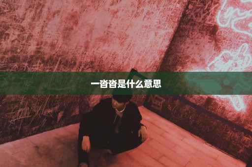 一沓沓是什么意思