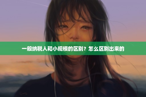 一般纳税人和小规模的区别？怎么区别出来的