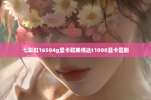 七彩虹16504g显卡和英伟达t1000显卡区别