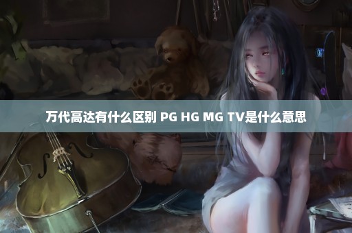 万代高达有什么区别 PG HG MG TV是什么意思