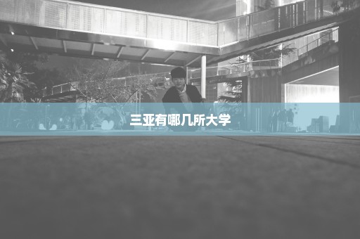 三亚有哪几所大学