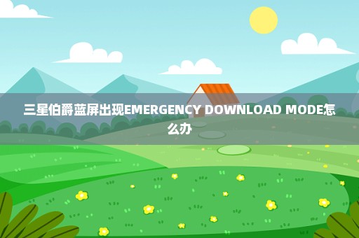 三星伯爵蓝屏出现EMERGENCY DOWNLOAD MODE怎么办