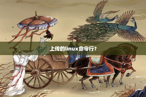 上传的linux命令行？