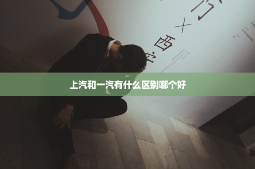 上汽和一汽有什么区别哪个好