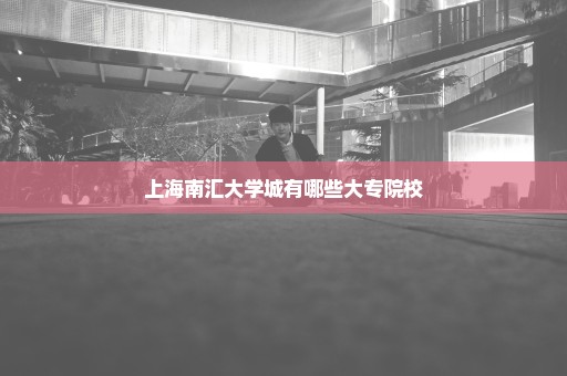 上海南汇大学城有哪些大专院校