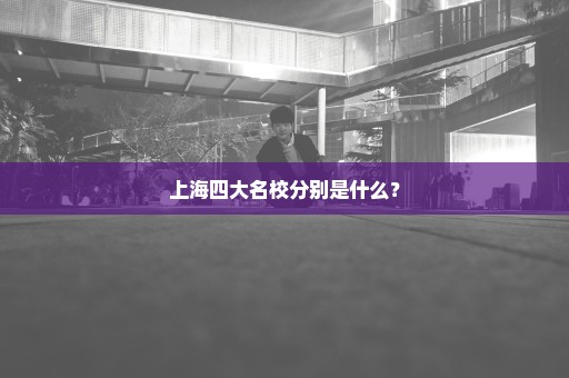 上海四大名校分别是什么？