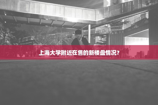 上海大学附近在售的新楼盘情况？