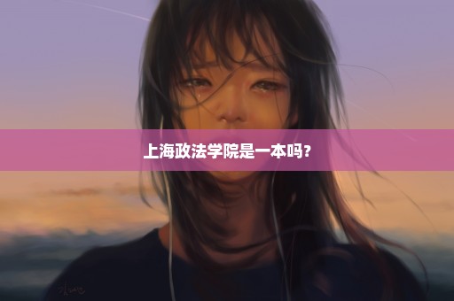 上海政法学院是一本吗？