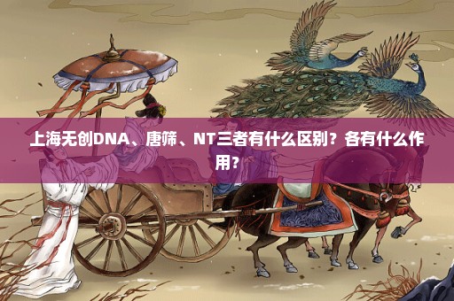 上海无创DNA、唐筛、NT三者有什么区别？各有什么作用？