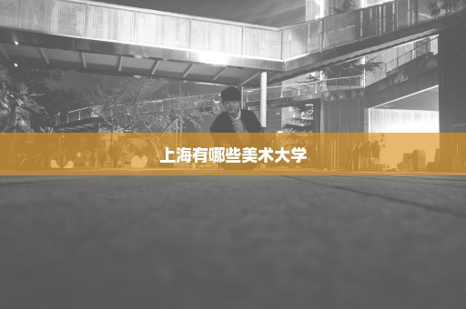 上海有哪些美术大学