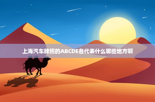 上海汽车牌照的ABCDE各代表什么哪些地方啊