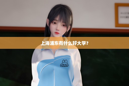 上海浦东有什么好大学？